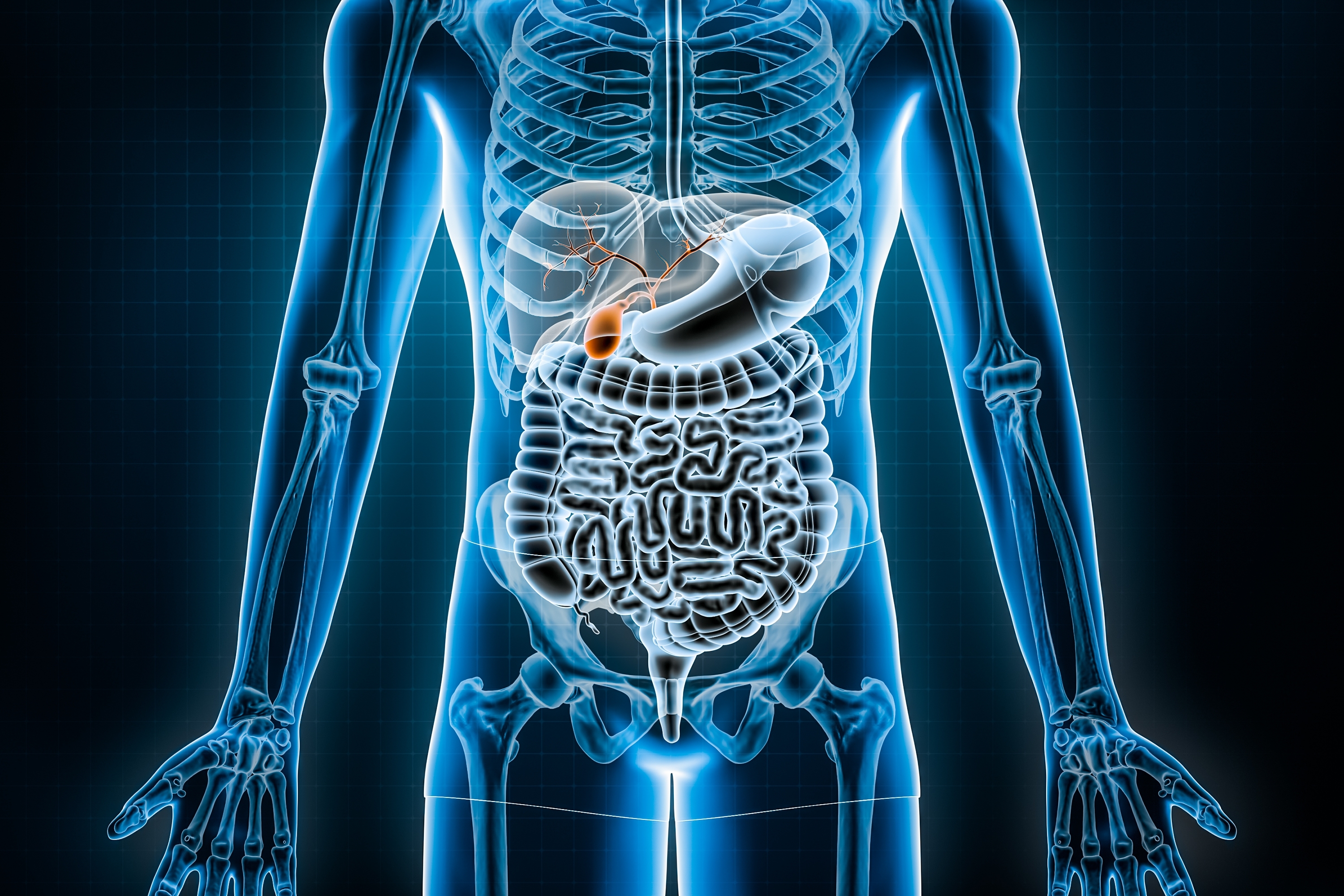 Shifting Landscape in the Treatment of Biliary Tract Cancers: The Role of Immunotherapy and Other Targeted Therapies