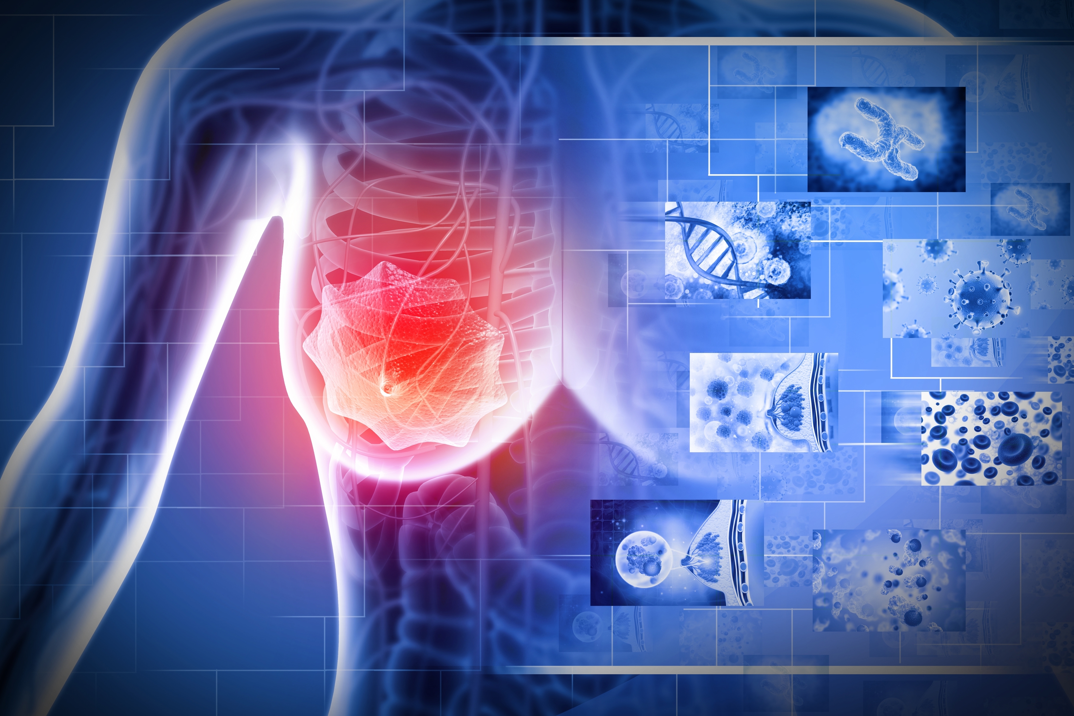 Residual Risk in HER2+ Disease: Rethinking pCR, Recurrence, and CNS Protection