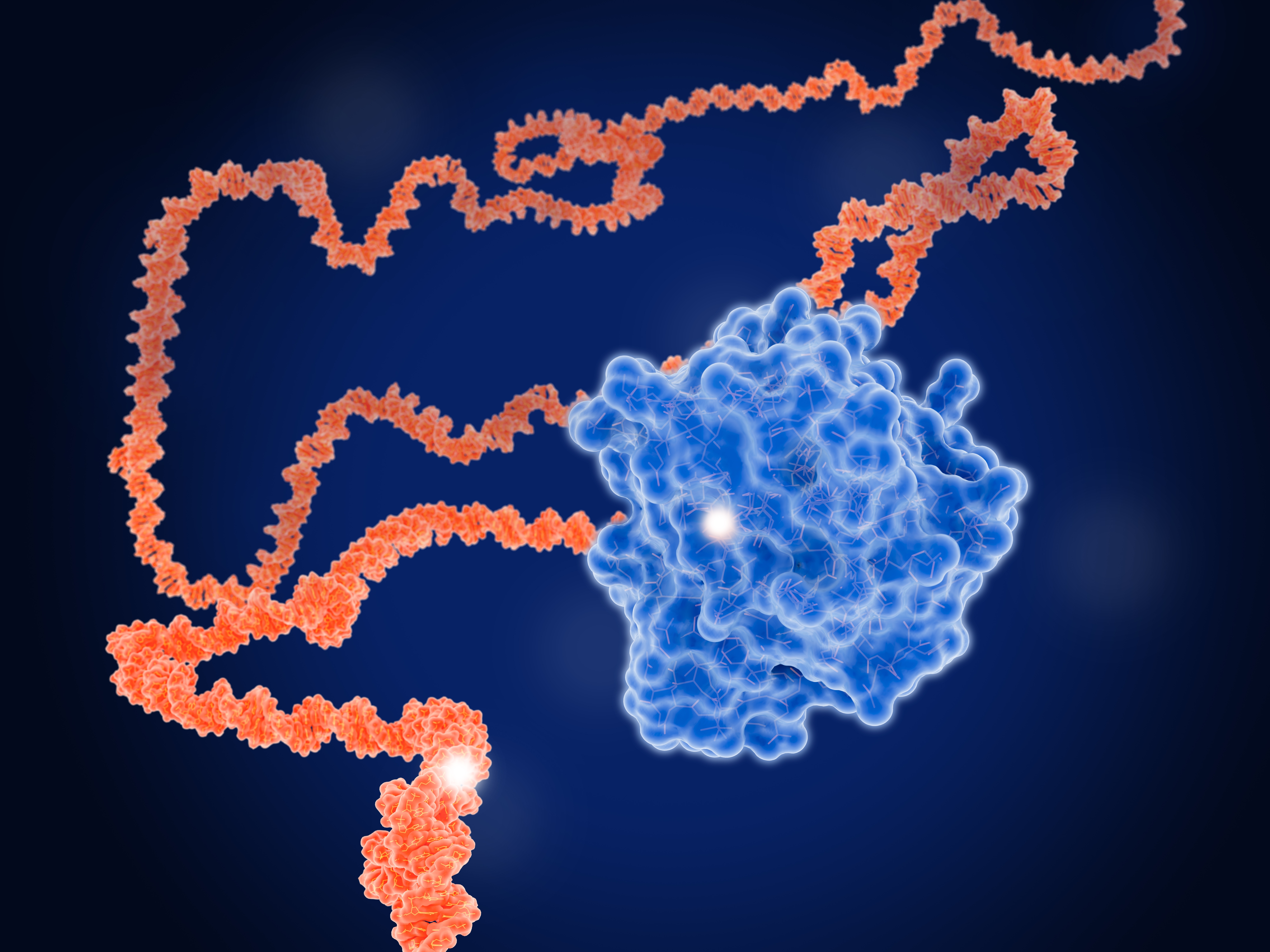 Targeting KRAS: Beyond KRAS G12C