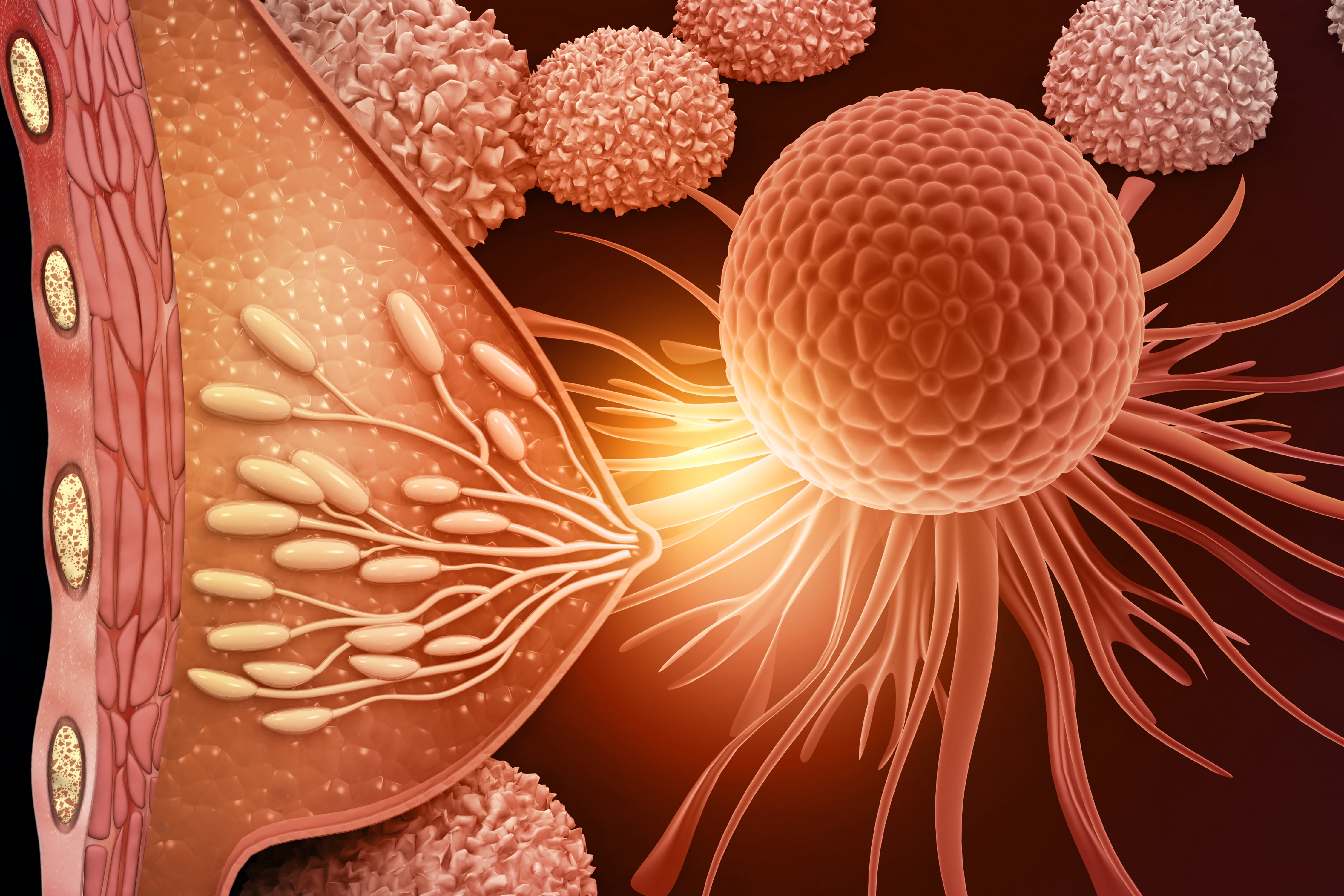 The Present and Future of Antibody-Drug Conjugates in Breast Cancer Therapy